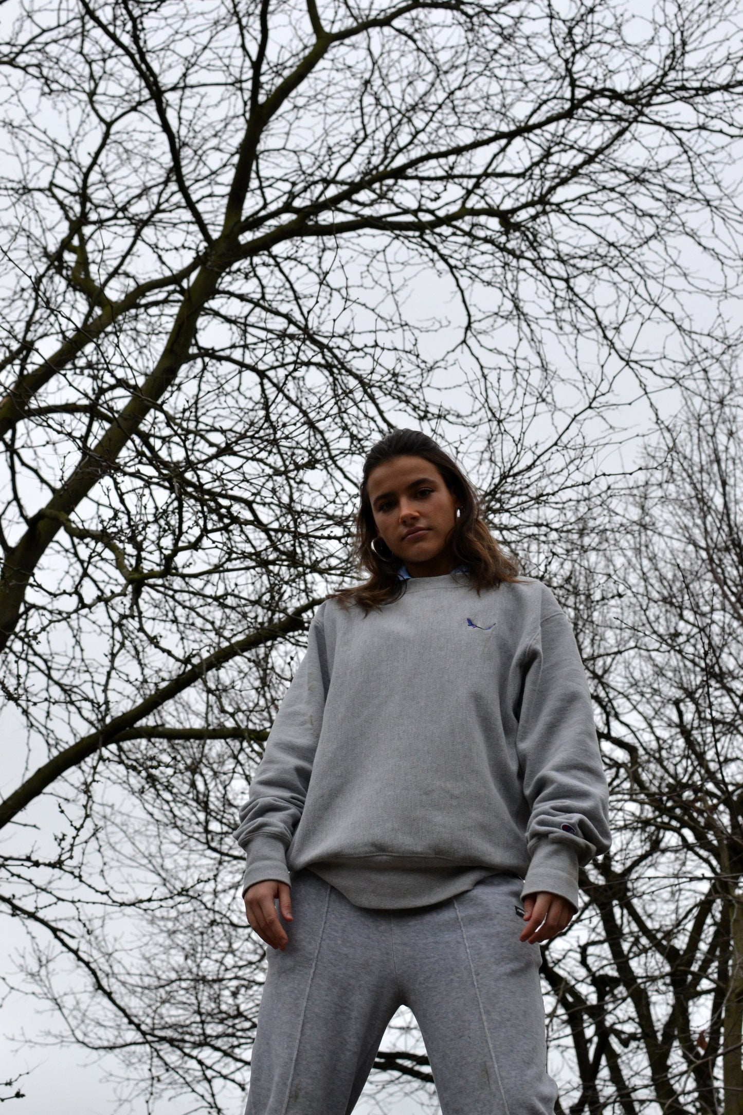 THE SUBTROPICHAMPION Ash Sweatshirt female shot by trees