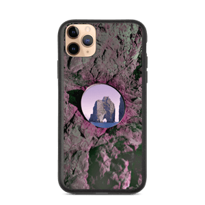 Abstract Earth Biodegradable iPhone 11 Pro Max case