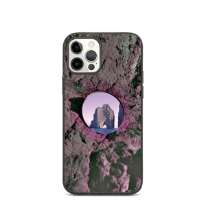 Abstract Earth Biodegradable iPhone 12 Pro case