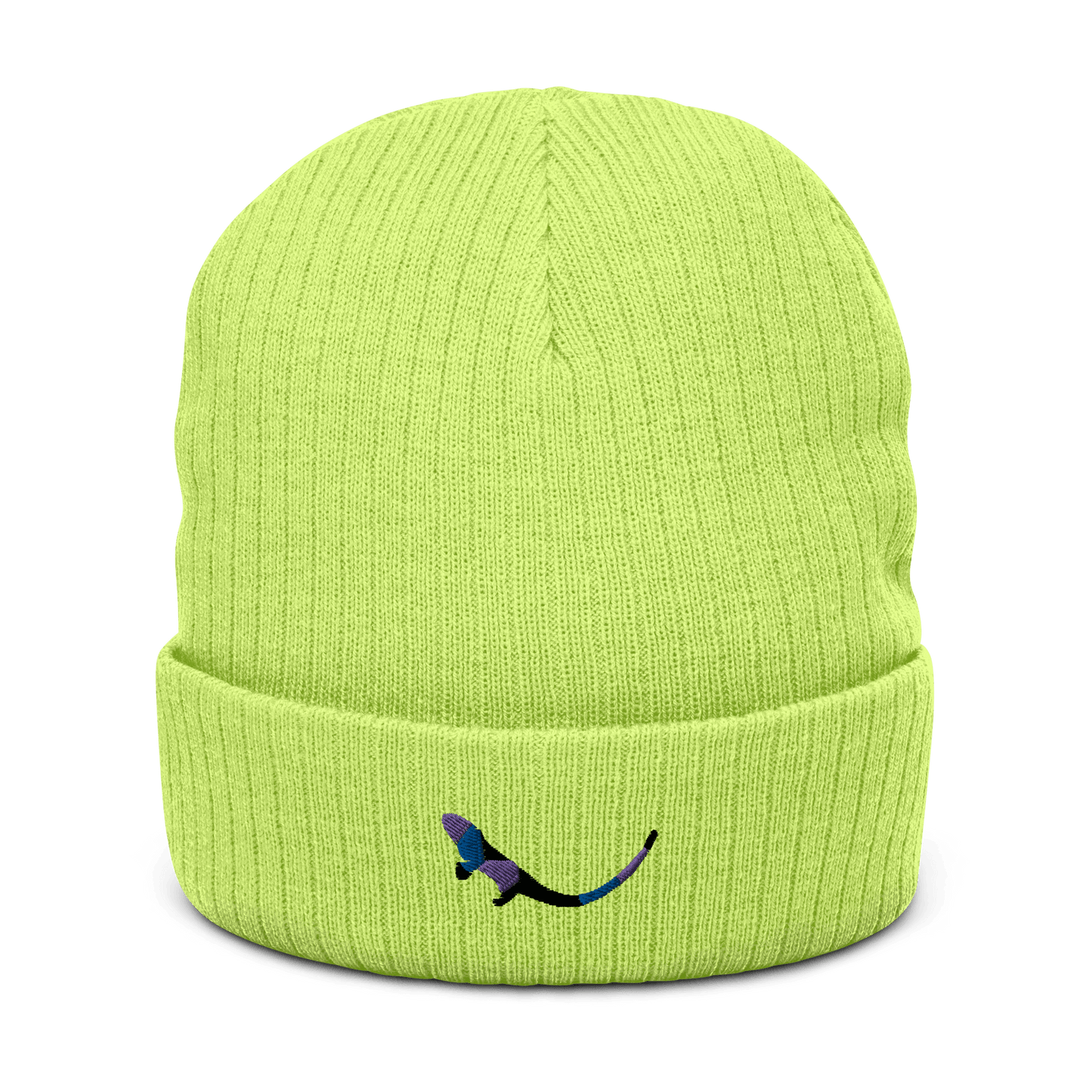 Acid coloured Beanie