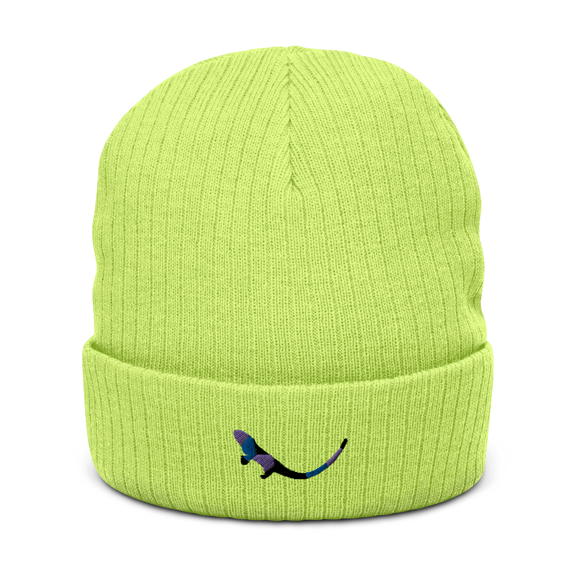 Acid coloured Beanie