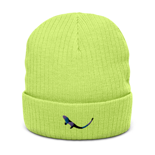 Acid coloured Beanie