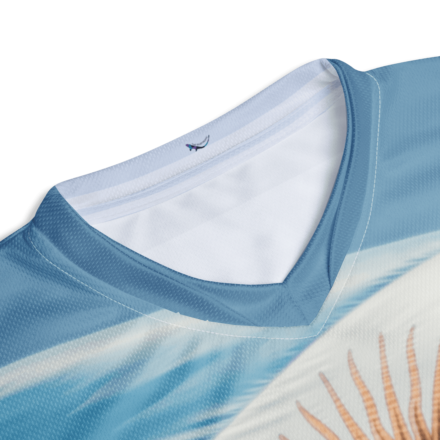 Argentina Football World Cup Jersey