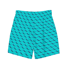 Load image into Gallery viewer, THE SUBTROPIC Turquoise Eco-Trunks Back
