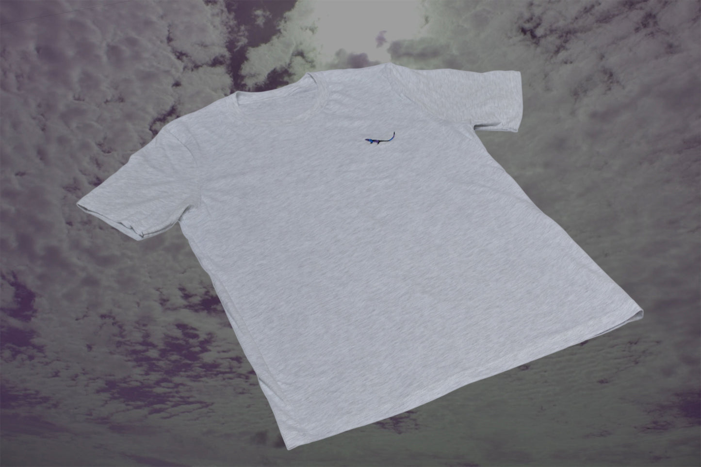 Ash Essential Organic Tshirt Alternative angle