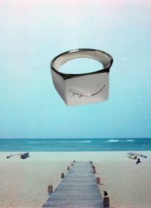 Sterling Silver Ring Of THE SUBTROPIC on the subtropical riverbed