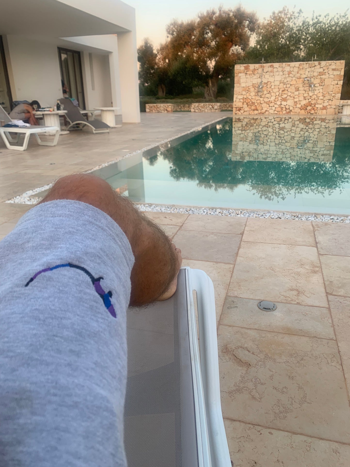 THE SUBTROPIC Fleece Shorts Grey Model