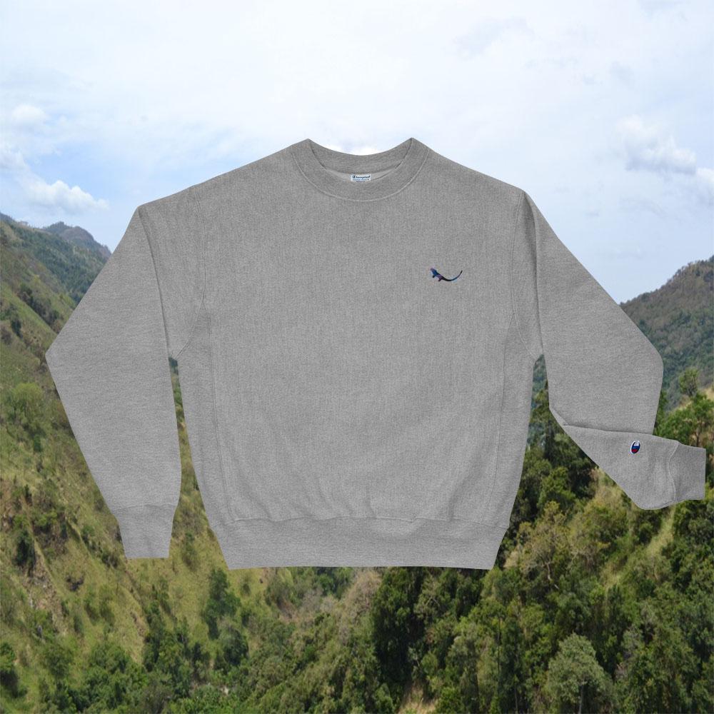 THE SUBTROPICHAMPION Ash Sweatshirt Funky shot
