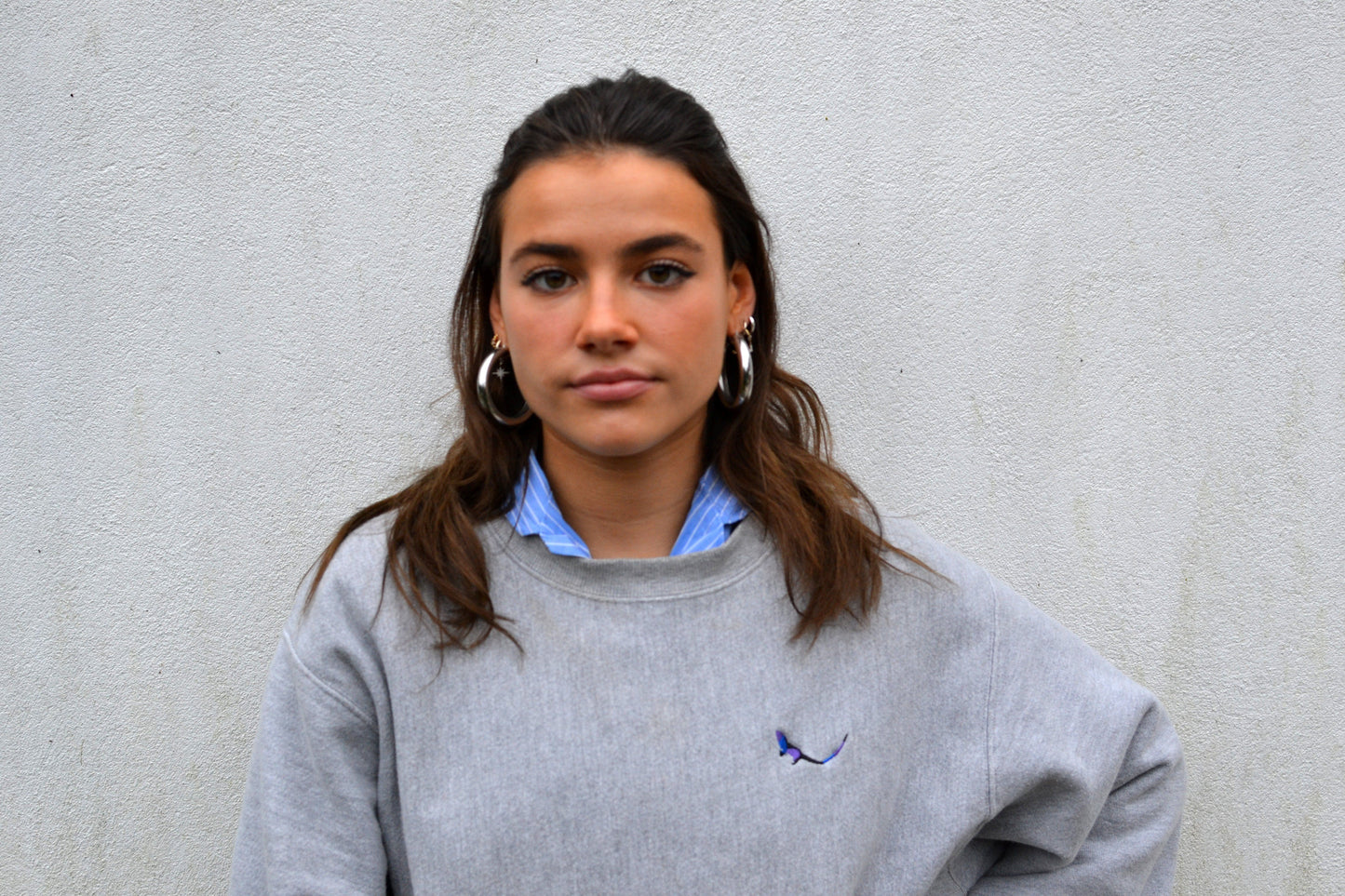 THE SUBTROPICHAMPION Ash Sweatshirt female model 1