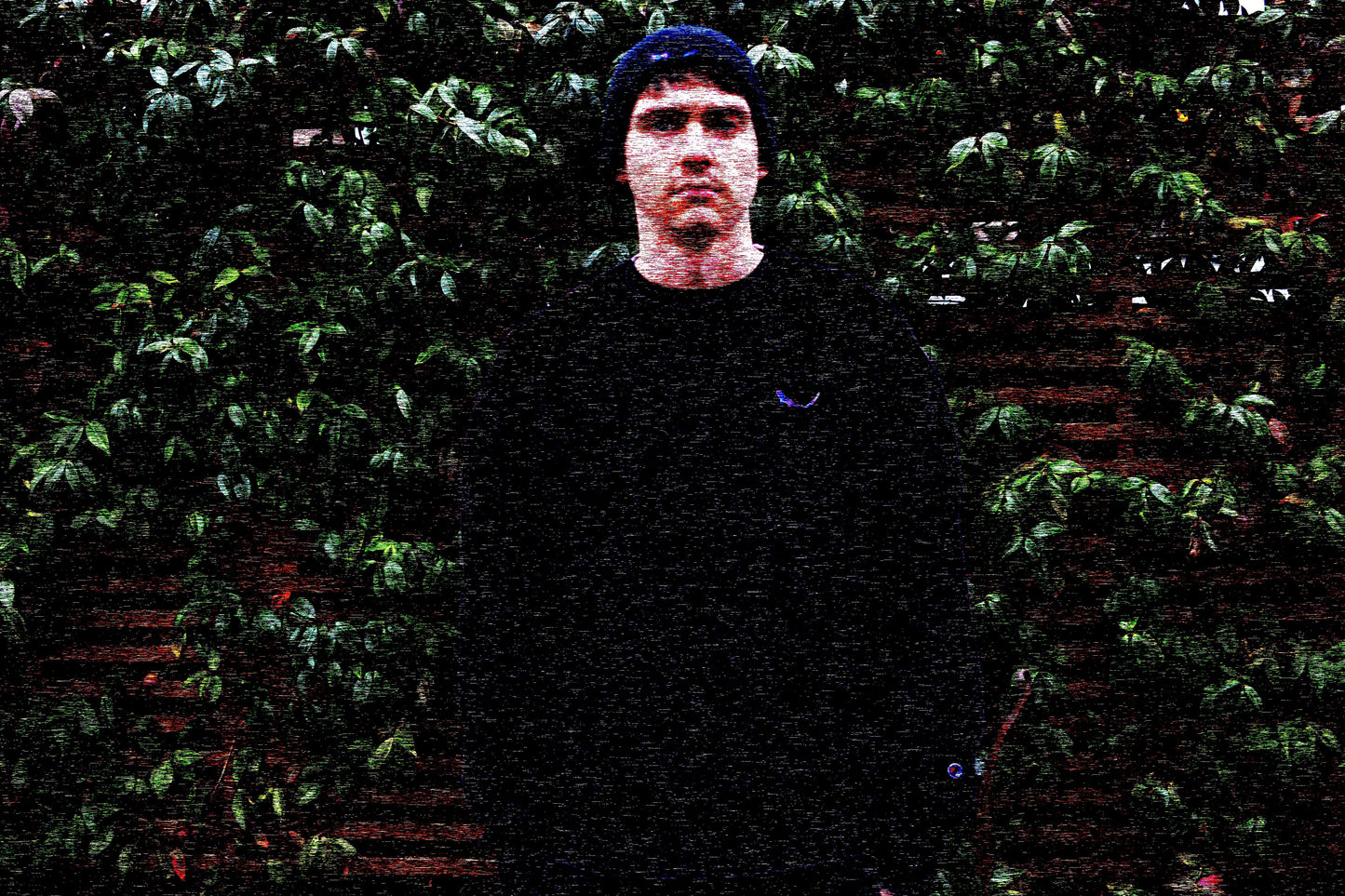 THE SUBTROPICHAMPION Black Sweatshirt Male Mezzotint shot